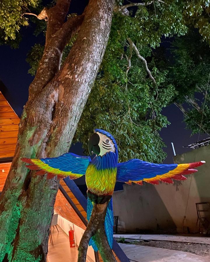 ホテルCabana Costa Azul シウダー・デル・エステ エクステリア 写真